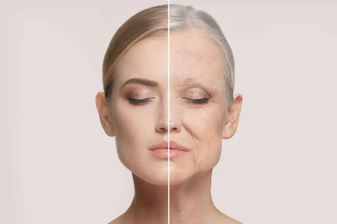 فیشیال و پاکسازی